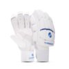 Batting Gloves