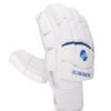 Batting Gloves