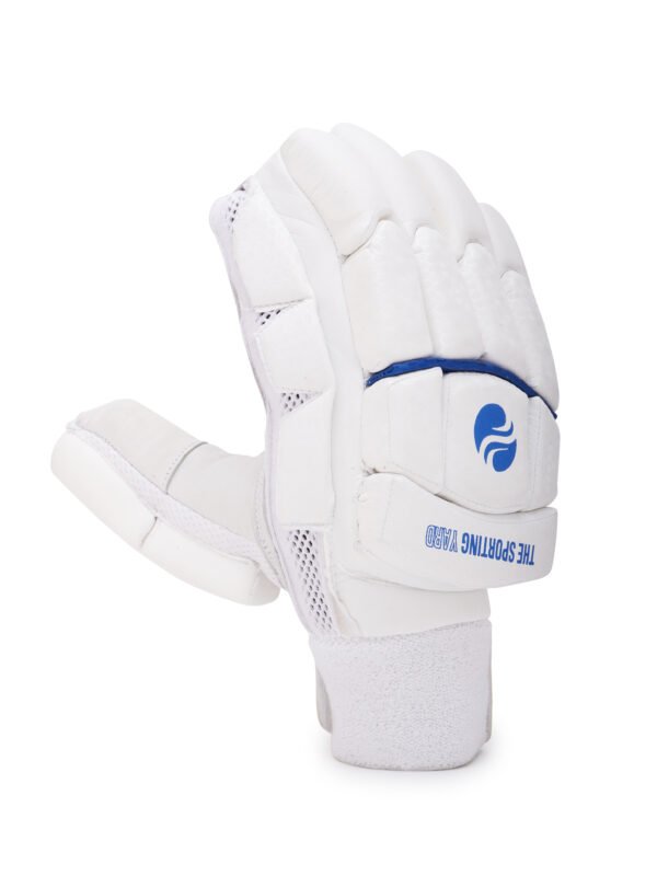 Batting Gloves