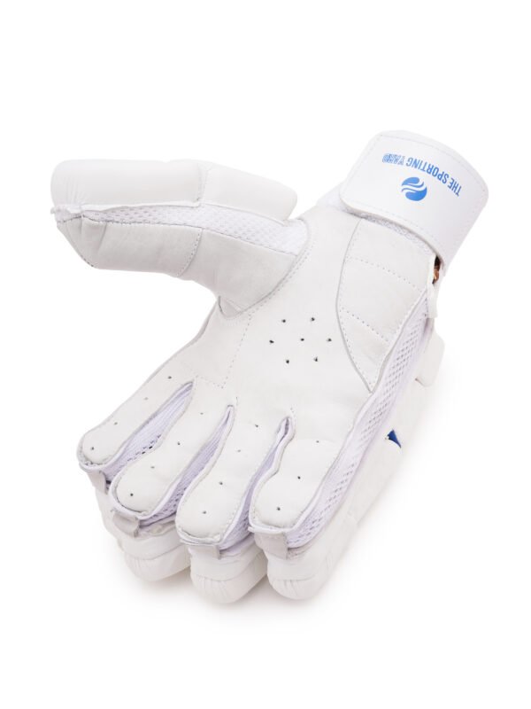 Batting Gloves
